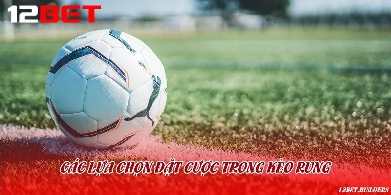 Những loại cược rung hấp dẫn không thể bỏ lỡ