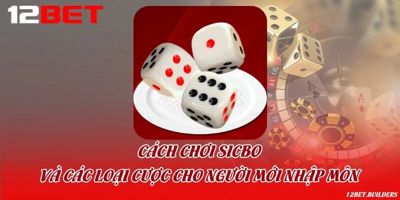Cách chơi Sicbo và các loại cược cho người mới nhập môn
