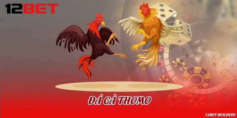 Đá gà Thomo